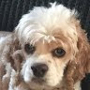 Meet your Posher, Jennifer l.